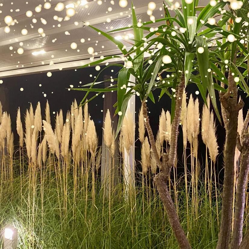Mitarbeiter-Weihnachtsfeier in einer Sommer-Location